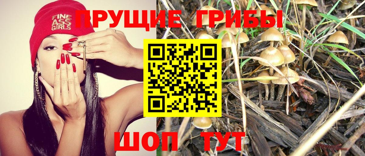 Галлюциногенные грибы GOLDEN TEACHER Туймазы